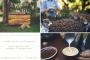 Catering in East Providence, RI: Bolt Coffee Company