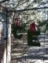 Wedding Planners / Consultants in Charleston, SC: Charming Events of Charleston