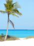 Destination & Honeymoons in Portage, MI: Leslie @ Trips Ahoy