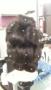 Hair, Makeup, & Spas in Charlotte, NC: Perception Studio