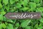 Decorations & Rentals in Brandon, FL: The Paper Walrus