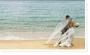 Bridal Shops & Tuxedo Rental in Summerville, SC: Davids tuxedos