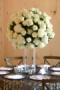 Florists & Flowers in Knoxville, TN: Cachepot