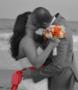 Wedding Planners / Consultants in Charleston, SC: Charleston Wedding Packages