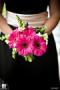 Florists & Flowers in Knoxville, TN: Echelon Florist