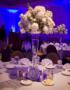Wedding Planners / Consultants in Brookfield, WI: Weddings With A Twist, LLC