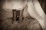Videographers in Lowell, AR: Sarah Shotts Storytelling
