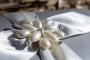 Invitations & Stationery in Glendale, CA: Rosa Design and Print