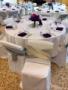 Decorations & Rentals in Milwaukee, WI: Sloba's Chair Covers