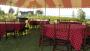 Decorations & Rentals in Traverse City, MI: Design A Theme Party Rentals, LLC