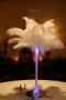 Decorations & Rentals in Fairfax, VA: ShatataEvents Ostrich Feather Rentals