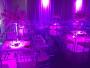 Decorations & Rentals in Orlando, FL: Fenice Events