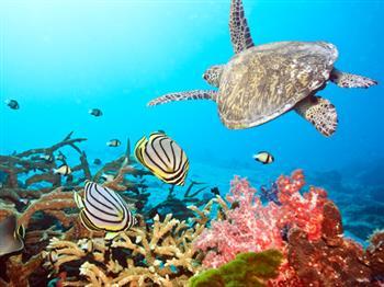 Portfolio image for Sand & Beach Travel