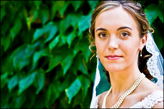 photo of Alison Rose Photography
