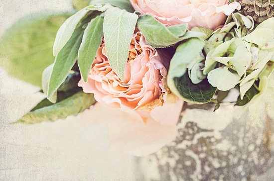 photo of Shannon Stellmacher Photography