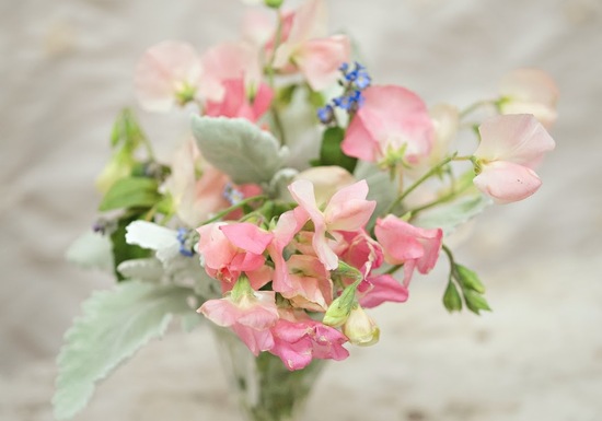 photo of Wedding Flower Inspiration... Currently Obsessed with Lamb's Ear