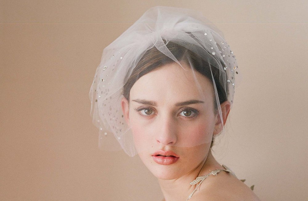Classic-bridal-veil-birdcage-hair-accessory-with-scattered-swarovski-crystals.full