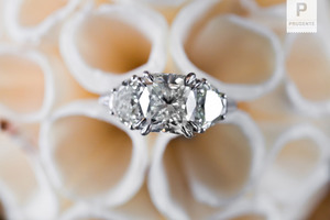 photo of Boston Wedding Photography - Prudente Photography