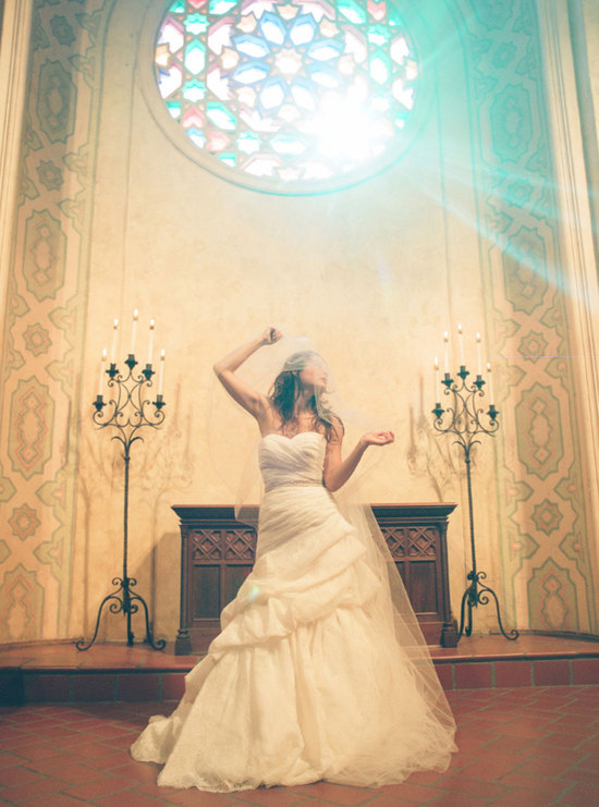 photo of Camelia