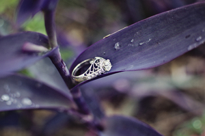 photo of White Ivory Photography
