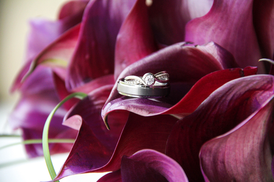 photo of Juniper Photography