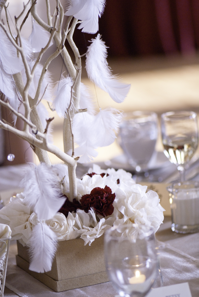 photo of A&A Photography