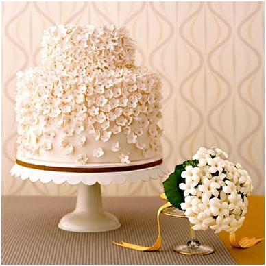 photo of Bubbly Bride: Patterns full of Personality