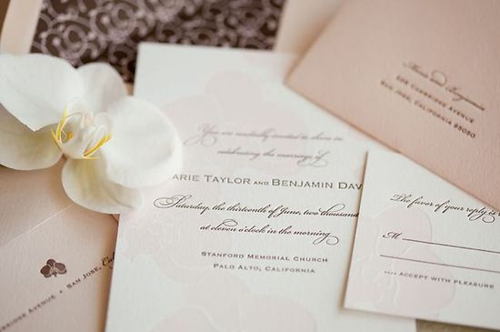 photo of Paper Chez