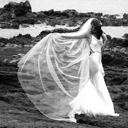 photo of Singing the praises of birdcage bridal veils