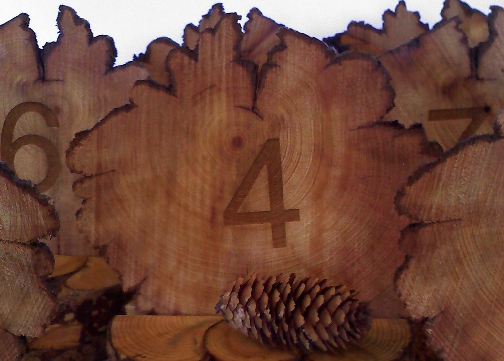 Rustic-wood-carved-wedding-table-numbers.full