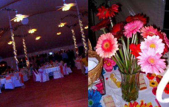 photo of It's A Jaime Thing... A Colorful, Gerbera Daisy Themed Soiree!