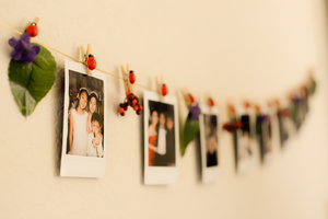 photo of Polaroid Connection