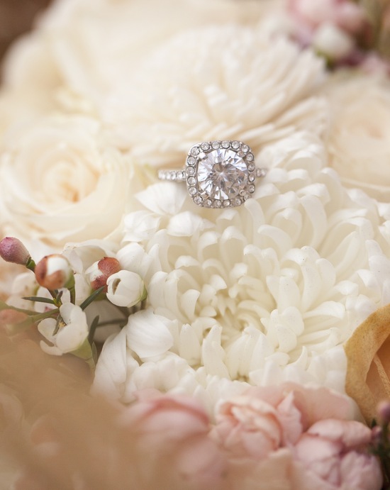 photo of Michael and Carina Photography