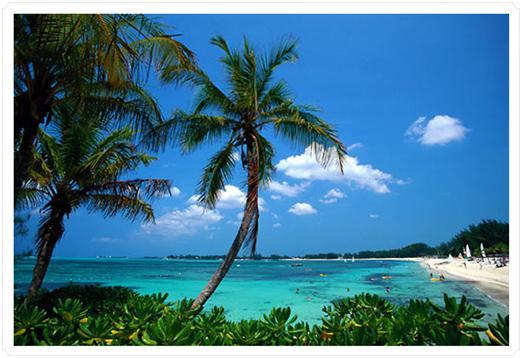 Diva-dialogue-planning-your-destination-wedding.full
