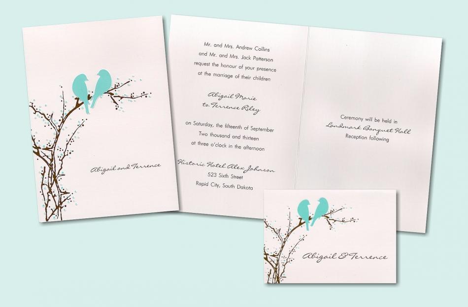 Wedding-invitation-stationery-trends-chocolate-brown-aqua-white-birds-nature.full