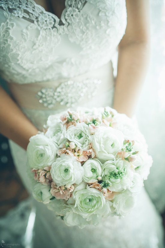 photo of Vis Photography