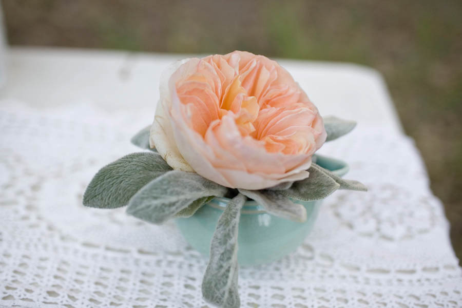 Peach-garden-rose-single-bloom-wedding-centerpiece.full