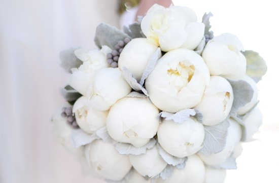 photo of Winter White Wedding Flowers