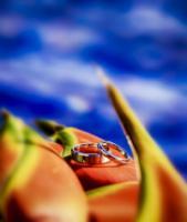 photo of Andrew Morrell Photography