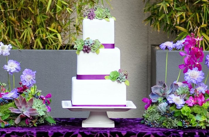 Fondant-succulent-wedding-cake-purple-green.full