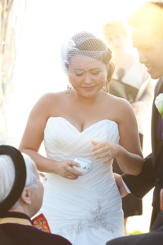 photo of Steven Joseph Photography