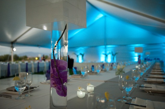 photo of Silver and Purple Outdoor Wedding in Vegas