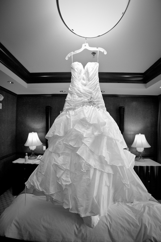 photo of Steven Joseph Photography