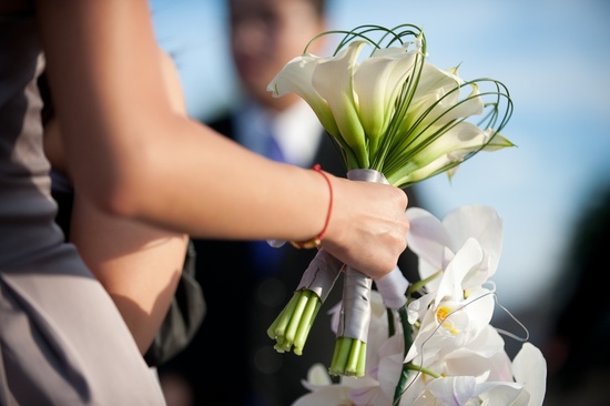 photo of Steven Joseph Photography