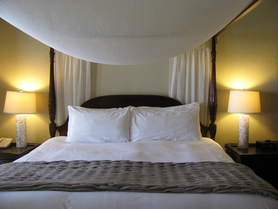 photo of Journey to Paradise Travel & Tours