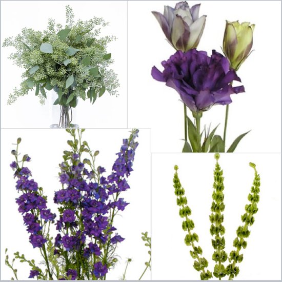 photo of Fifty Flowers