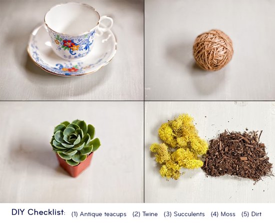 DIY wedding guest favors using succulents that double as wedding reception table decor
