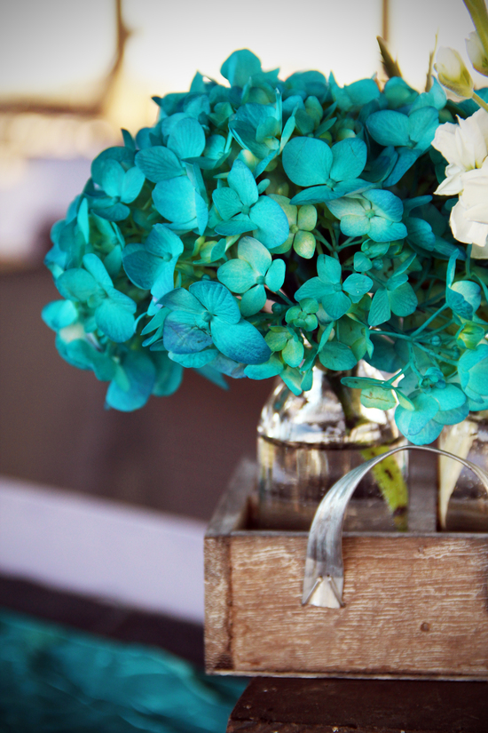 photo of  White Sand Weddings