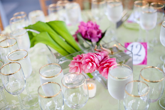 photo of SYPhotography