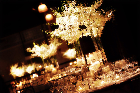 photo of Photography by Verdi